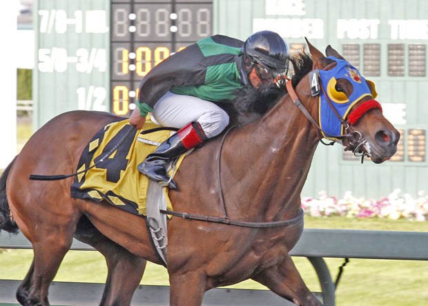 Washington-bred E Z Kitty prevails in the 2012 Washington State Legislators Stakes at Emerald Downs.