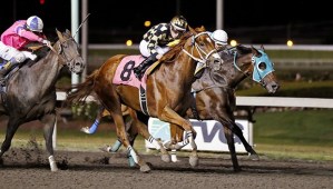 Disruption (No. 8) and jockey Julien Couton power to the lead in the $18