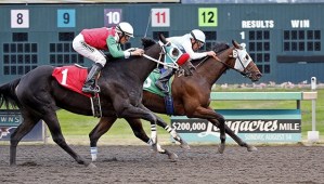 Wickedizaswickeduz (No. 5) prevails over Parkers Delight in the Labor Day feature race for older fillies and mares at Emerald Downs.