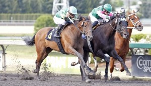 Remembertobreathe (6) and jockey Julien Couton surge to victory Saturday in the $21