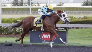 Copper City and jockey Juan Gutierrez cruise to a one-length victory in the $14