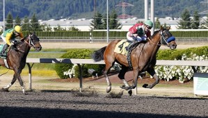 Botch and jockey Julien Couton hold off Calculated Chaos for a 2 1/4-length victory Saturday in the $21