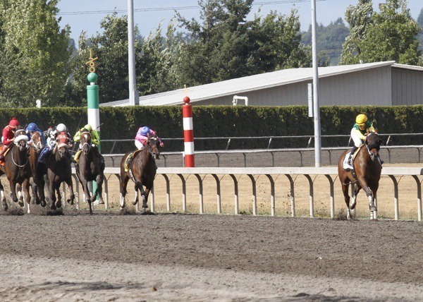 E Z Kitty and jockey Anne Sanguinetti opened an eight-length lead and coasted to a 3 1/3-length victory in the 18th running of the $65