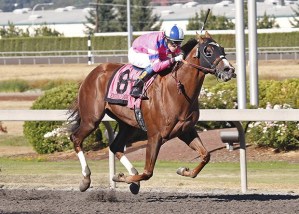 Prime Engine and jockey Joe Steiner are handy winners of the 2015 Emerald Downs Derby