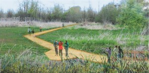 An artists concept of the boardwalk at the Auburn Environmental Park.