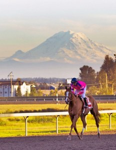 Dr. Mark Dedomenico's Prime Engine and jockey Isaias Enriquez gallop to the winner's circle after a triumphant effort in the Gottstein Futurity at Emerald Downs last year.