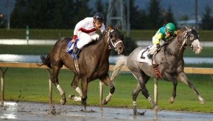 Until You and jockey Javier Matias hold off Rocky's Quest and Julien Couton in the $22
