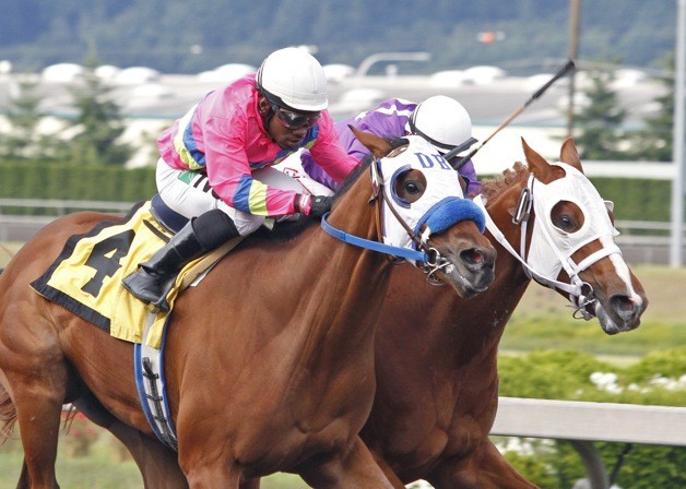 Master's Bluff (pink silks) and jockey Rocco Bowen prevail by a nose over He's Not Bluffin in the NWSS Slewdledo Stakes for 2-year-old colts & geldings at Emerald Downs.