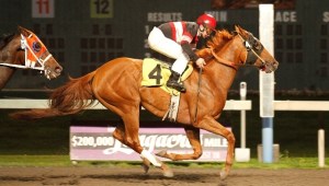 Southern Solution and jockey Isaias Enriquez are the winning team in Friday's feature race for 3-year-olds