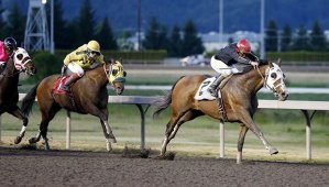 Heza Witch Doctor and Javier Matias edge clear for a 1 3/4-length victory Friday in the feature race for 3-year-olds and up at Emerald Downs. Howard Belvoir is the winning trainer for owner Tony Loften.