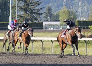 Stopshoppingdebbie romps in the $50