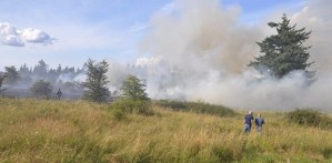Danny Harbin and Jack Smith look on as Valley Regional Fire Authority firefighters work to put out a brush fire near Auburn Adventist Academy Air Field on Monday.