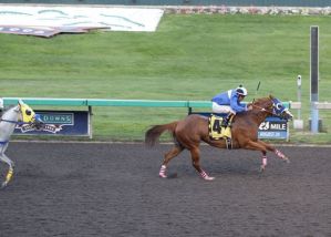 Chicks Special Angel and jockey Eddie Aceves dominate the Bank of America Emerald Downs Championship Challenge for older Quarter Horses.A  6-year-old Oregon-bred trained by Juan Sanguino and owned by Miguel Sanguino