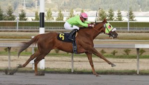 Del Rio Harbor and jockey Julien Couton score a 3 3/4-length victory in the $25
