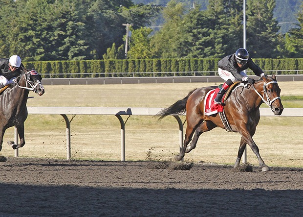 Stopshoppingdebbie remained undefeated with a 2 3/4-length victory in the $50