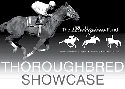 The Thoroughbred Showcase