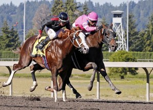Opportunistic (pink silks