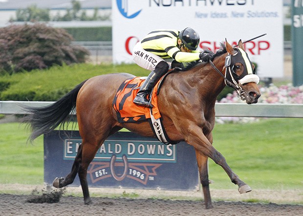 Mike and Amy Feuerborn's double-stakes winner Chu and You headlines the $50