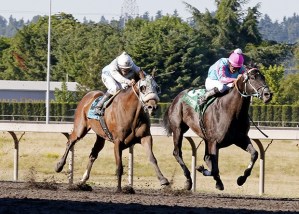 Defending WTBOA Horse of the Year Stryker Phd