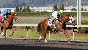 Seeking the Light and jockey Juan Gutierrez cruise to a 2 1/4-length victory Saturday in the $20
