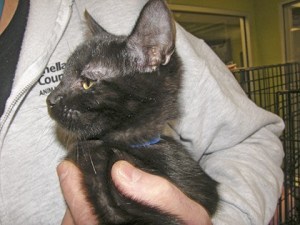 Take me home: A young