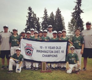 The District 10 champion Auburn 10-11 All-Stars: standing