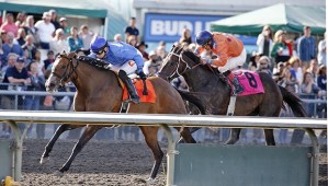 Bonus Spin and Juan Gutierrez