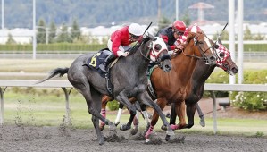 Bella Colomba (6) and jockey Julien Couton prevail in Saturday's $18