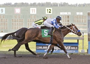 Dare Me Devil and jockey David G. Lopez collar Scat Daddybaby in Sunday's $22