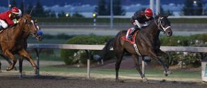 My Chief and jockey Juan Gutierrez score a 1-3/4 length victory Friday in the feature race for 3-year-olds and up at Emerald Downs.