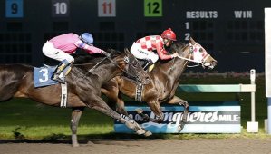 Big Hat Charlie holds off Party Pooper in the $15