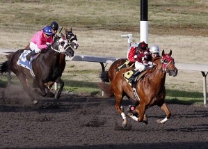 Idaho-bred Bh Lisas Boy and jockey Javier Matias set a stakes record while winning the fifth running of the Bank of America Emerald Downs Championship Challenge.