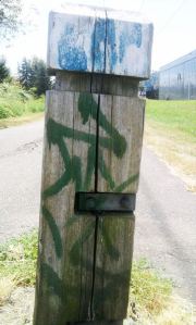 Gang-style graffiti was discovered throughout Pacific last Sunday.