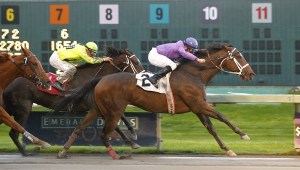 Kind of Naughty wins her fifth race of the meet in Sunday's allowance/optional claiming event for older fillies and mares. Isaias Enriquez rode the winner for trainer Frank Lucarelli and owners Chris Randall and Nick Rossi.