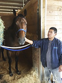 Roughingthepasser hanging with her groom Jofre Burmudez Thursday at the Marshall Allen barn.