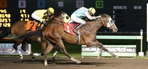 Mister Breeze (No. 1) rallies to victory under Debbie Hoonan in the $12