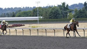 Among the Stars and jockey Gallyn Mitchell dominate Sunday's $18