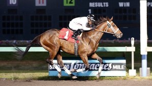 Mike Man's Gold notches his 10th career victory in Friday's $13