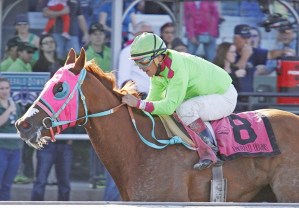 Del Rio Harbor is a quadruple stakes winner at Emerald Downs and comes off a smashing victory in the $50