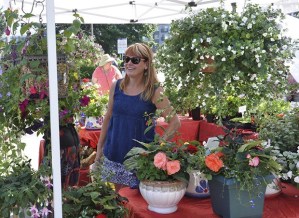 Lonnie Chavez looks for plants on opening day at the Auburn Farmers Market last Sunday. The market
