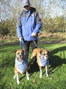 Andy Jones prepares to take his friendly boy-girl Boxers