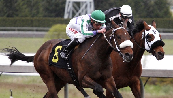 Mike Man's Gold and jockey Javier Matias (white silks) outfinish I Keep Saying for a half-length victory Saturday in the $17