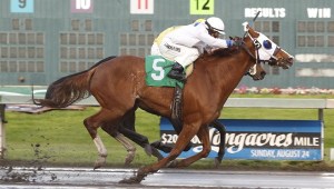Stephanie Plum (No. 5) and jockey Leonel Camacho-Flores notch a head victory Sunday in the $17