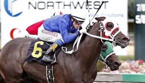 Arrom Bear (6) and jockey Joe Steiner prevail narrowly over Awesome Indian in the $21