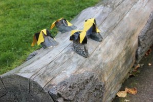 ‘The Long Look’: Thieves stole the bronze deer statue on Aug. 21