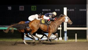 Leadership and jockey Rocco Bowen surge past Mt. Top Kat for a half-length victory Friday in the feature race for 3-year-olds and up at Emerald Downs.