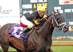 Why Not Be Perfect and jockey Anne Sanguinetti set a stakes record of 1:13.72 for 6½ furlongs in the $50