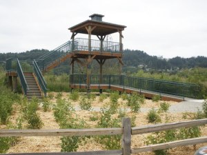 The Auburn Environmental Park is an innovative project that seeks to create a regionally significant open space in an urbanized area that offers opportunities for wetland ecosystem restoration