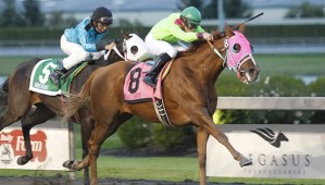 Triple stakes winner Del Rio Harbor