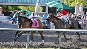 Inexcess Again and jockey Leslie Mawing power home in Saturday's $16